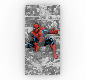 CUADRO SPIDERMAN