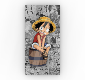 CUADRO ONE PIECE